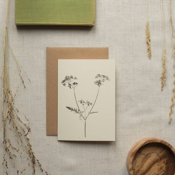 Alicia Breakspear - Wholesale Everyday Greeting Card - Cow Parsley Botanical Print Greeting Card A6 Recycled 2