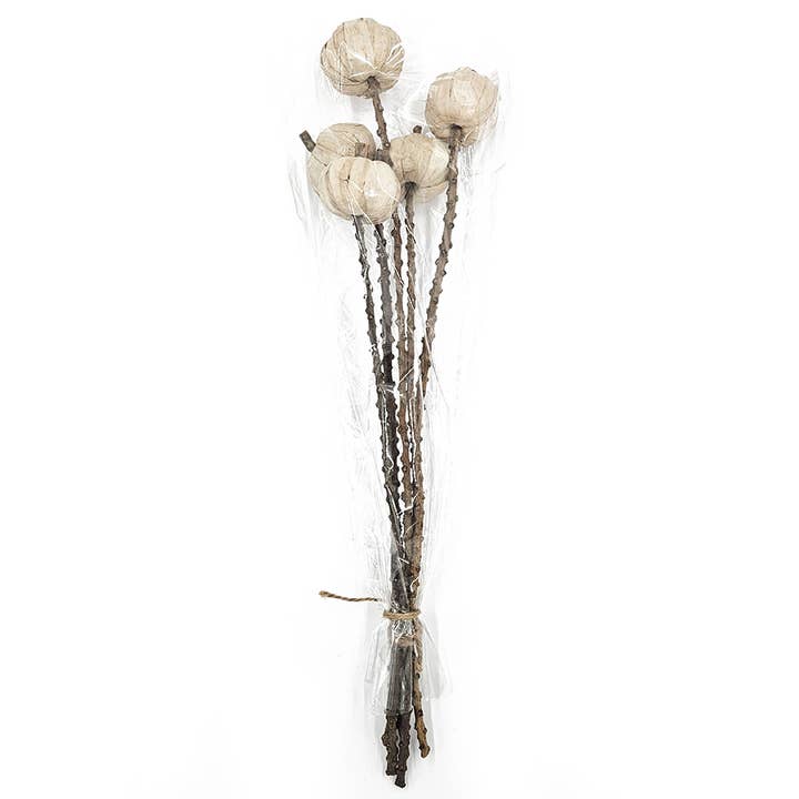 A&B Home Group Inc. - Wholesale Artificial Plant - 23.5" 5PC/Bunch Pumpkin Pod Twig Stem1