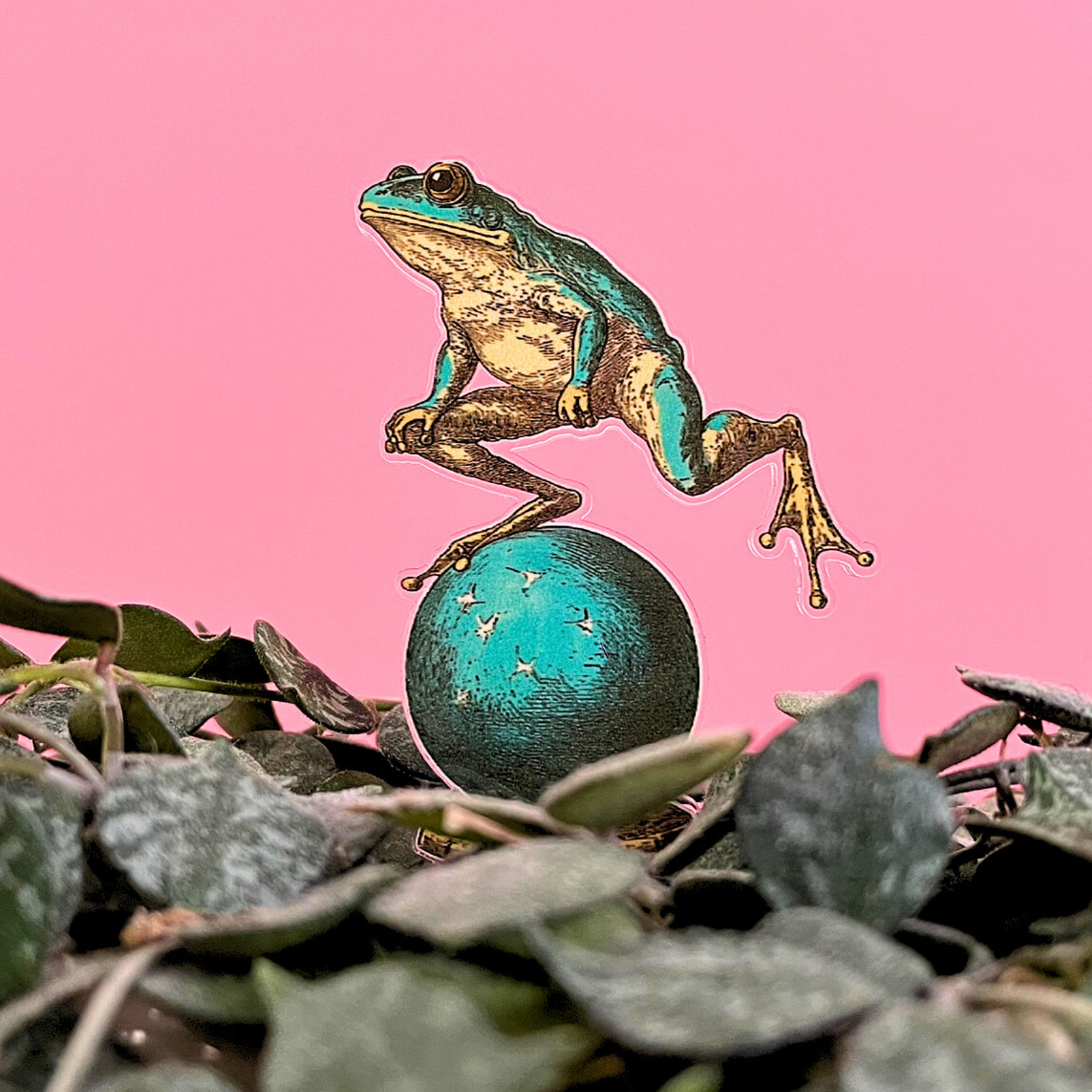 Button and Fern - Wholesale Garden/Lawn Stake - Vintage Frog Character Plant Stakes- Set of 5 Acrylic Stakes4