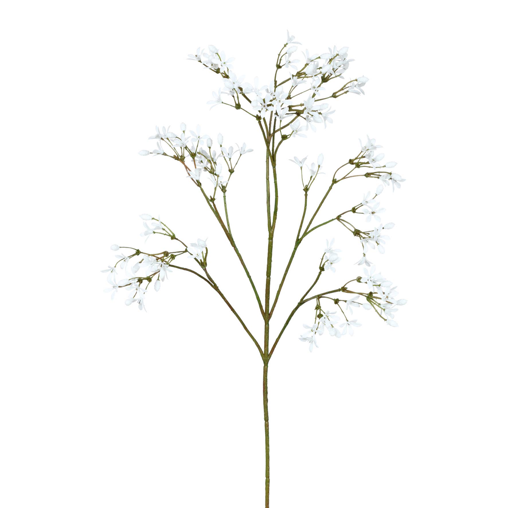 GASPER GmbH - Vente Fleurs artificielles - Branche de jasmin blanche, 52 cm, 12 unités/poly0