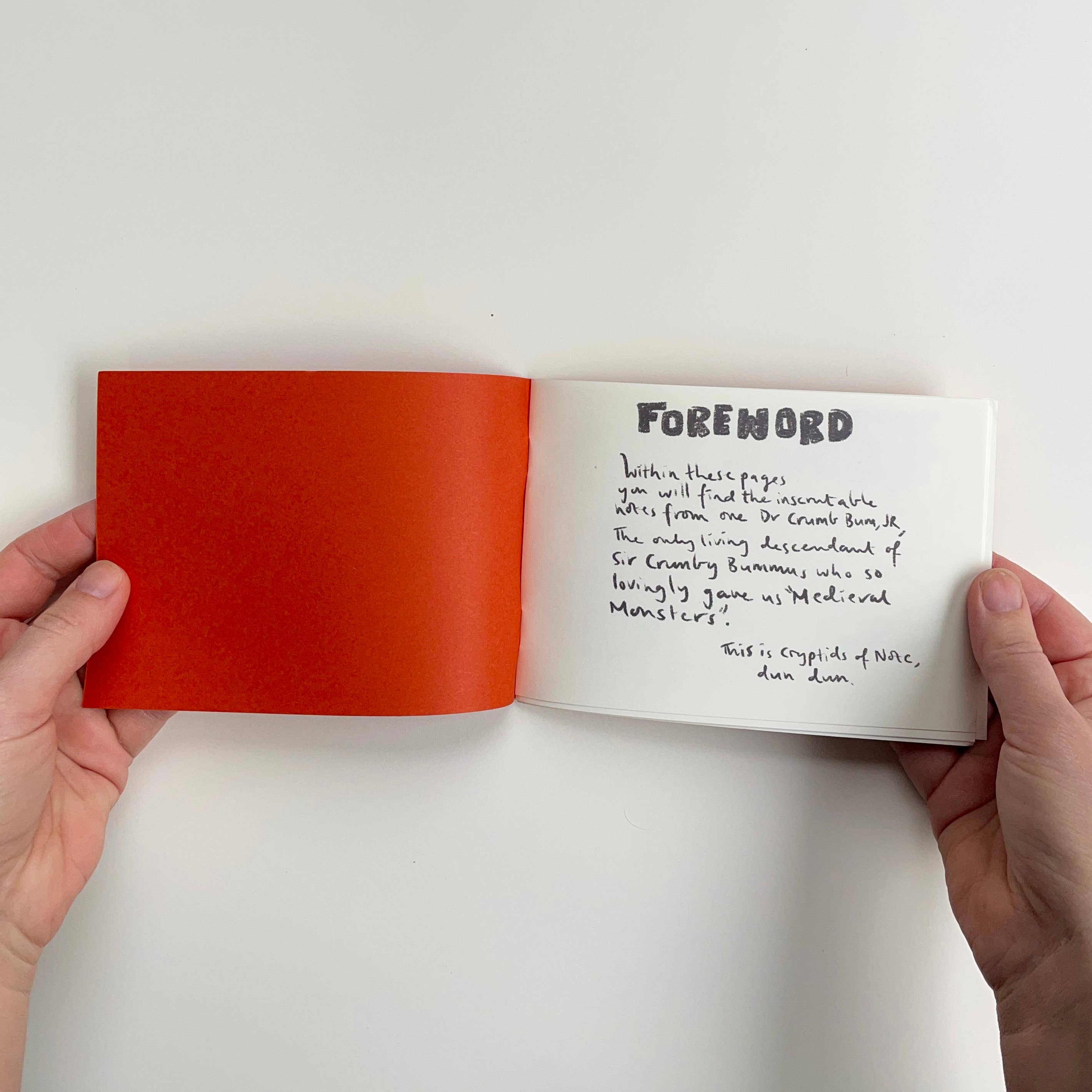 Ashlea Bechaz Illustration - Wholesale Magazine - Zine - Cryptids of Note4