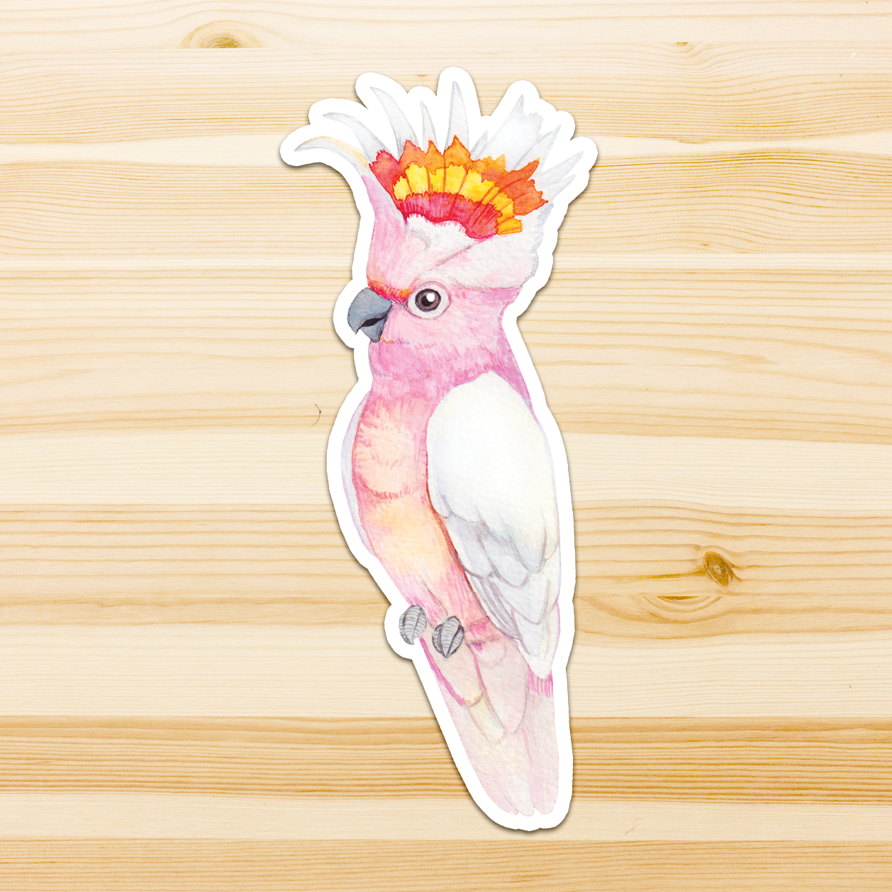 Watercolour By Cat - Vendita all'ingrosso Adesivo - Adesivo in vinile con grande uccello australiano14