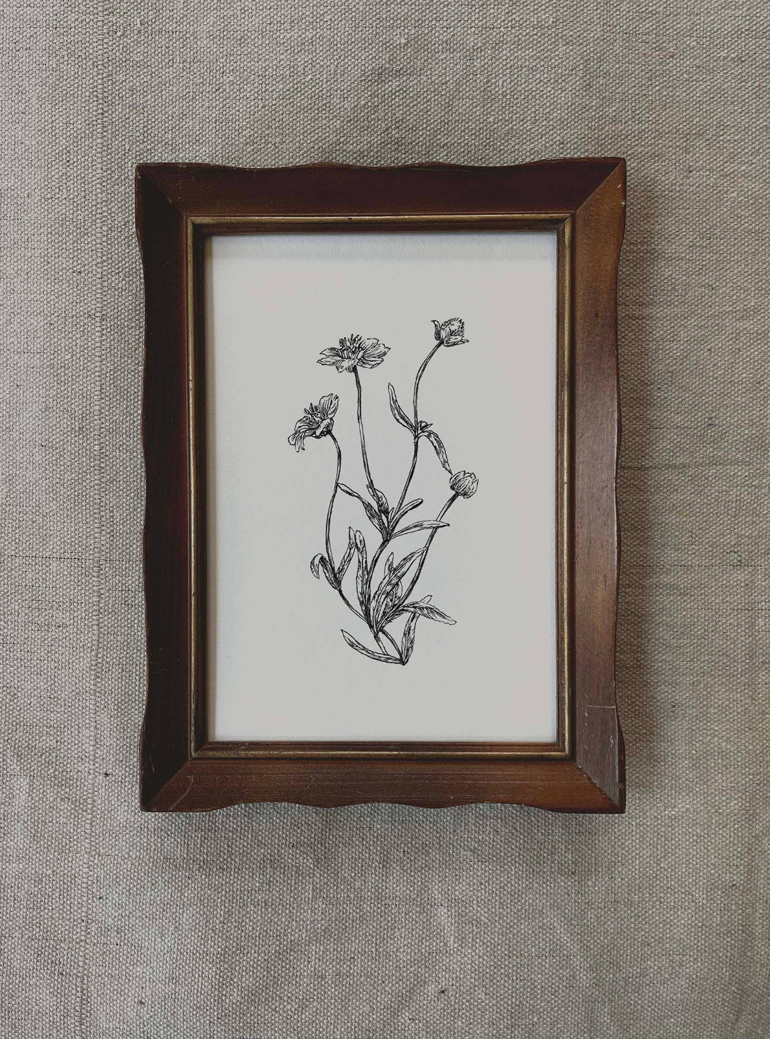 Kara Valentino Ffield Art - Wholesale Art Print - Daisy |  Art Print 5