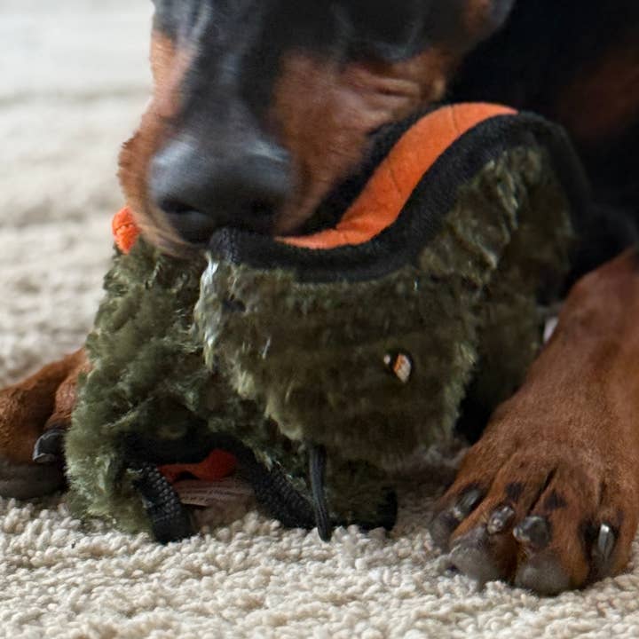 Rowdy Dino - Bronto for wholesale by Lightning Dog