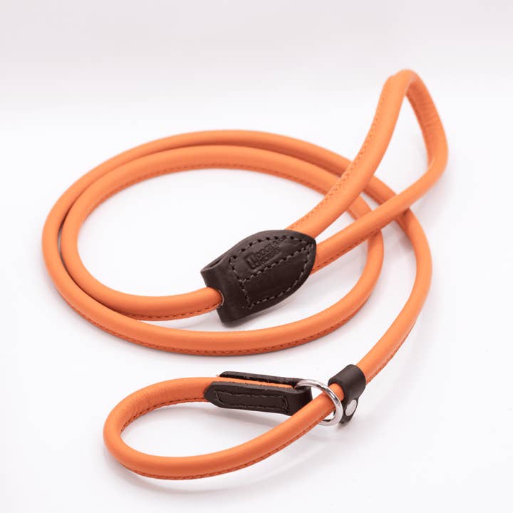 D&H Rolled Leather Slip Lead for wholesale by Dogs and Horses