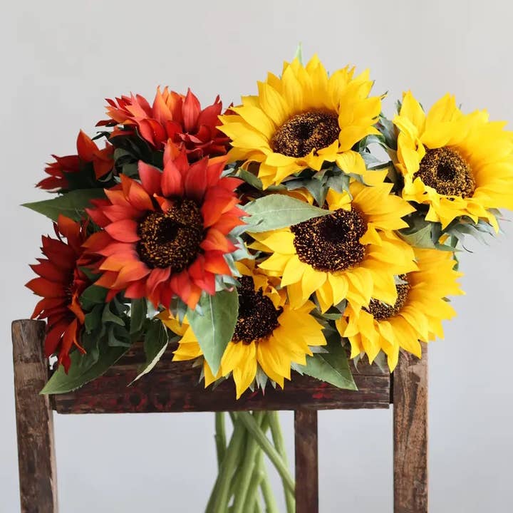 Angel Isabella - Wholesale Artificial Flowers - 27.5"-Lux Collection-Moisturized Real Touch Sunflower Stem7