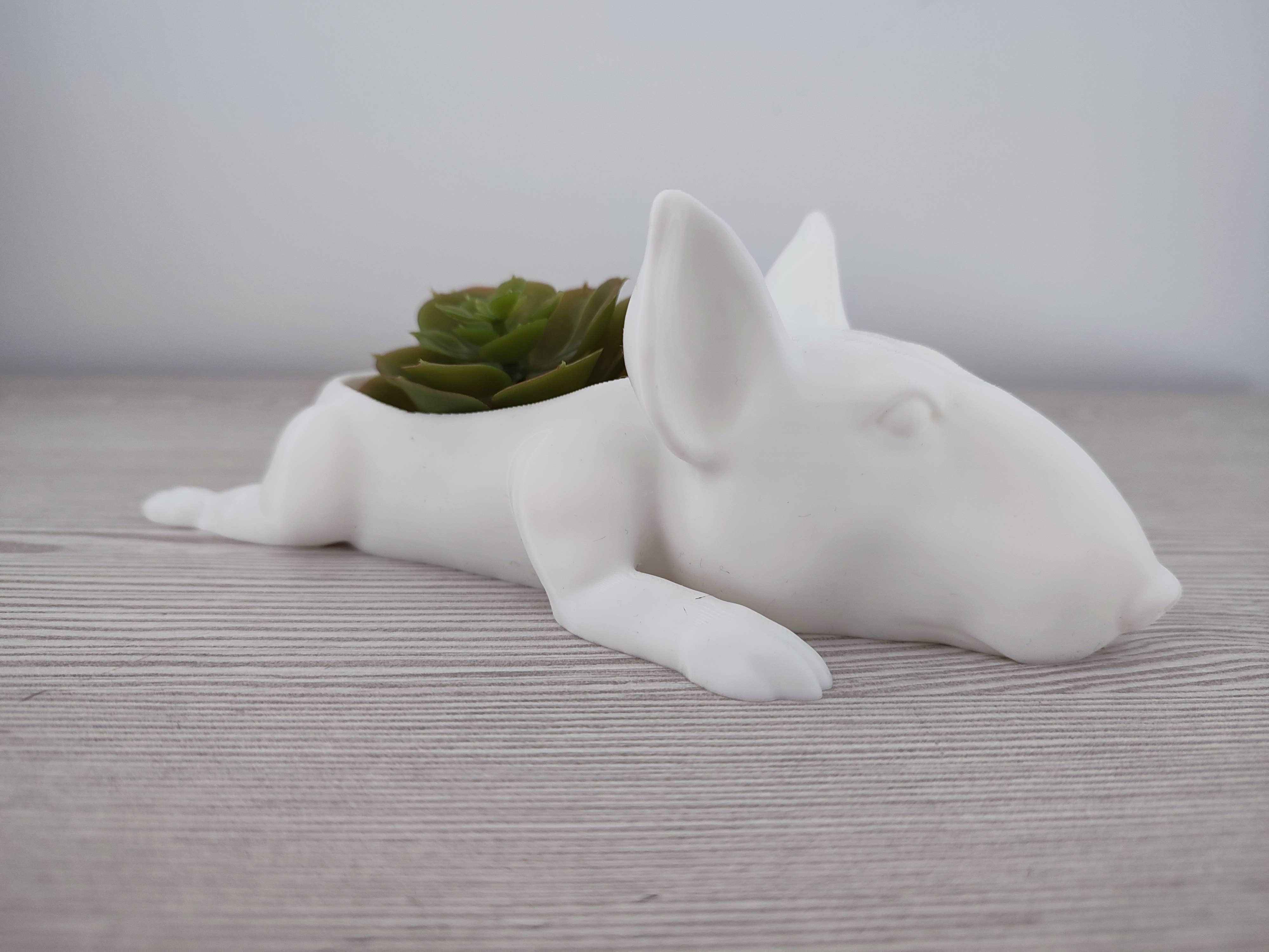 3DROOTS - Wholesale Plant Pot - Bullterrier dog pot3