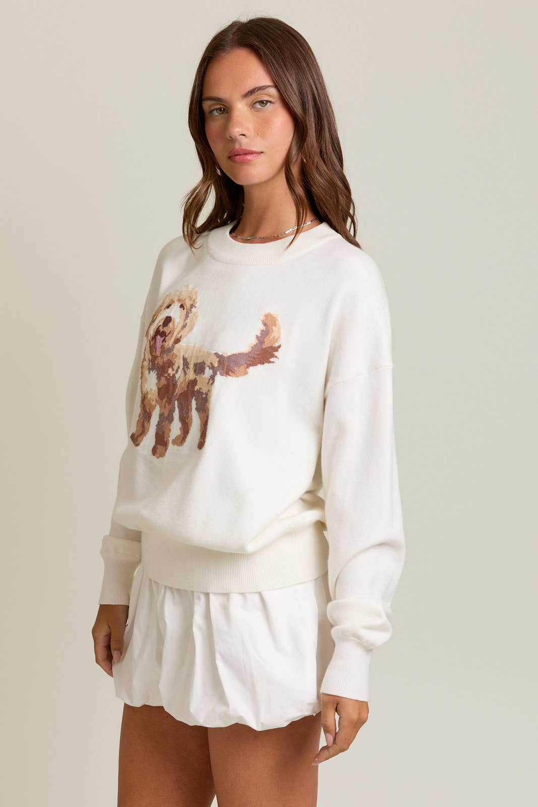 White LONG SLEEVE CREW NECK PUPPY GRAPHIC SWEATER for wholesale on Faire2