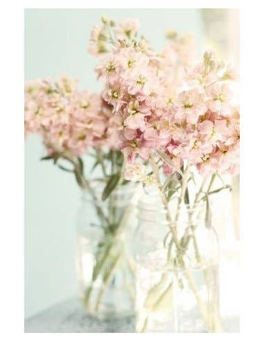 Florasource - Wholesale Fresh Cut Flowers - Stock Maison