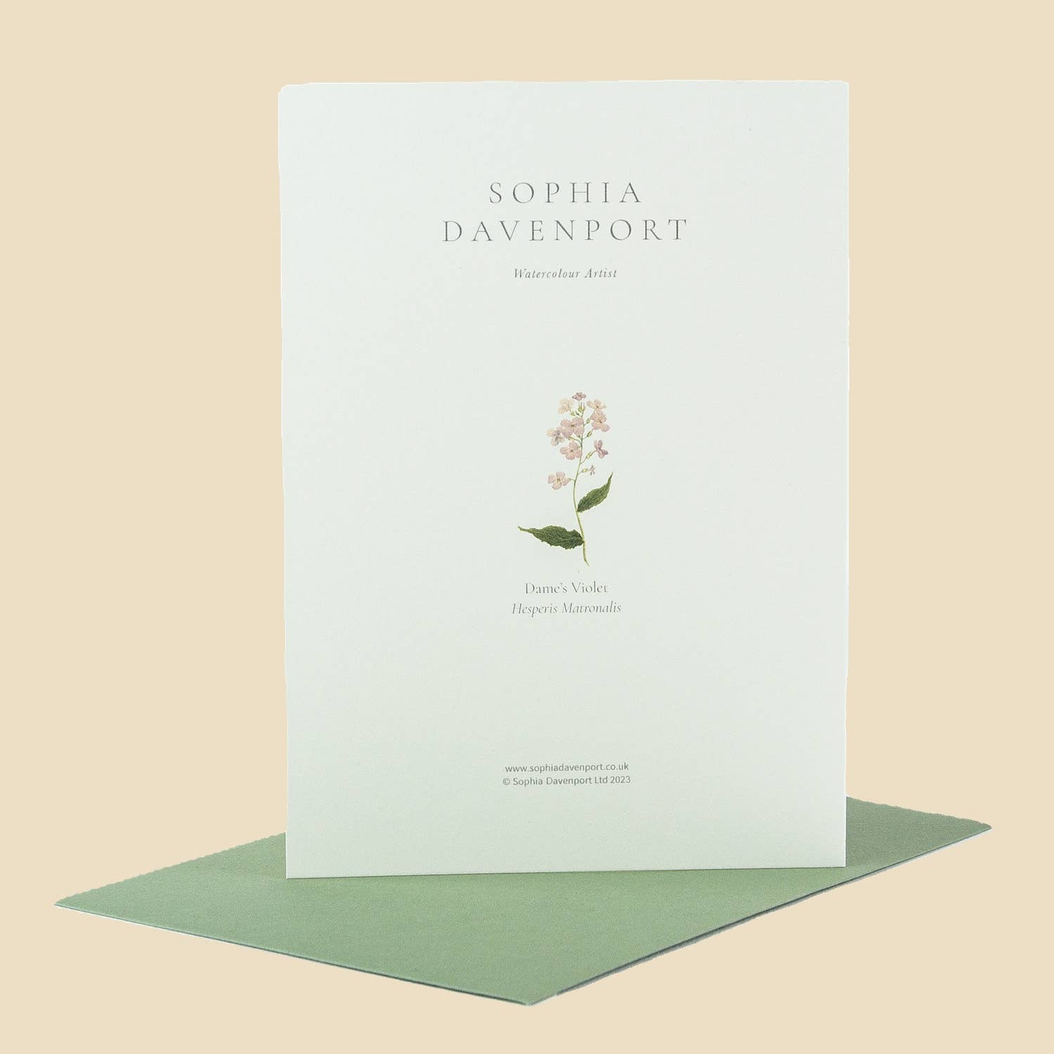 Sophia Davenport - Wholesale Everyday Greeting Card - Wildflower Greeting Cards and Notelets19