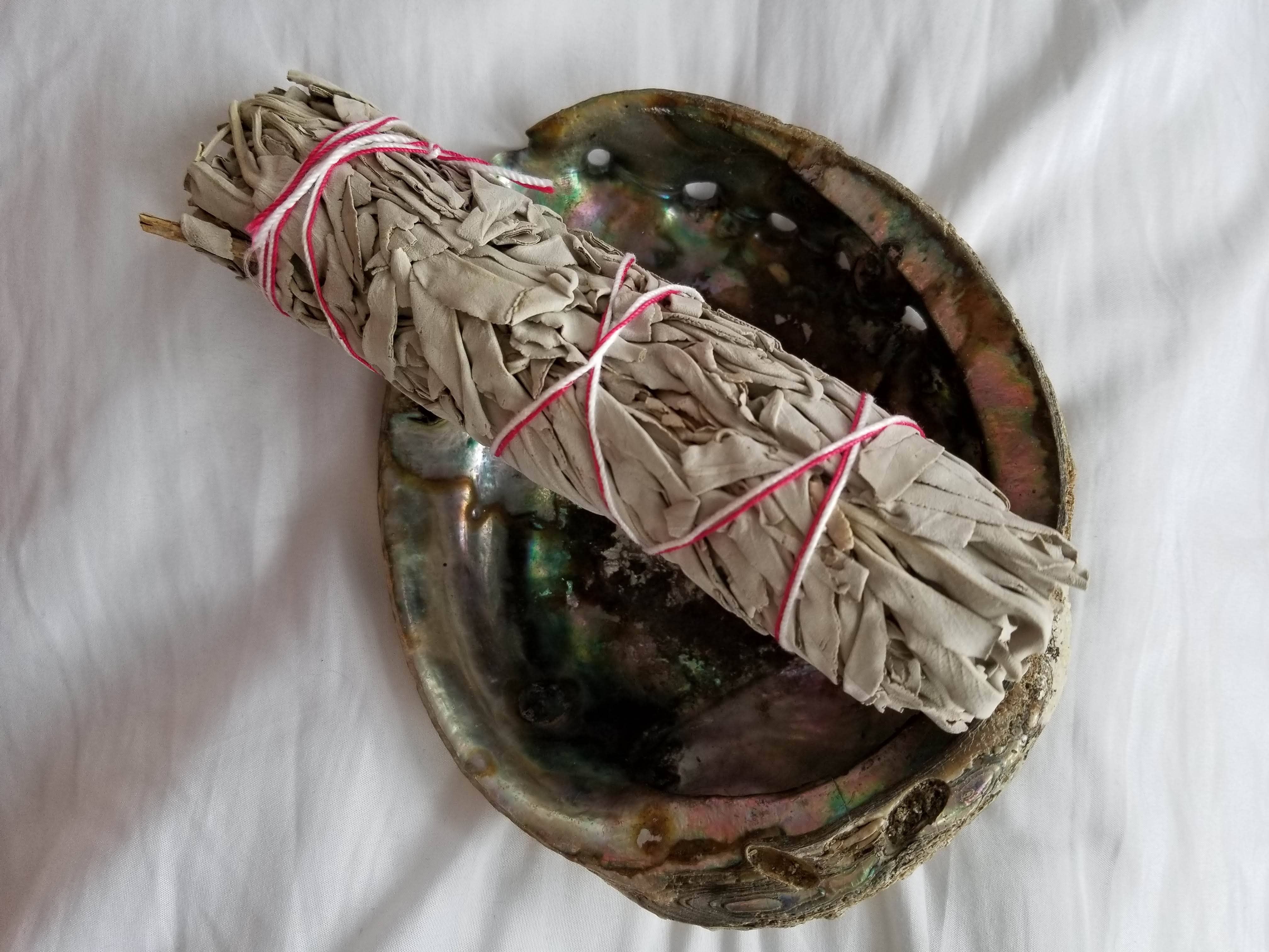 808 Company – wholesale Sage bundle – White Sage - 9"2