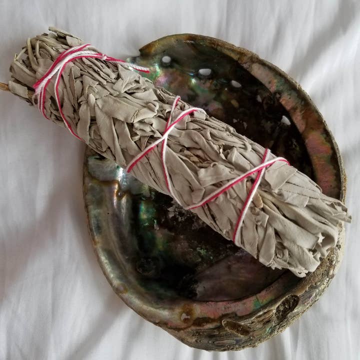 808 Company – wholesale Sage bundle – White Sage - 9"2