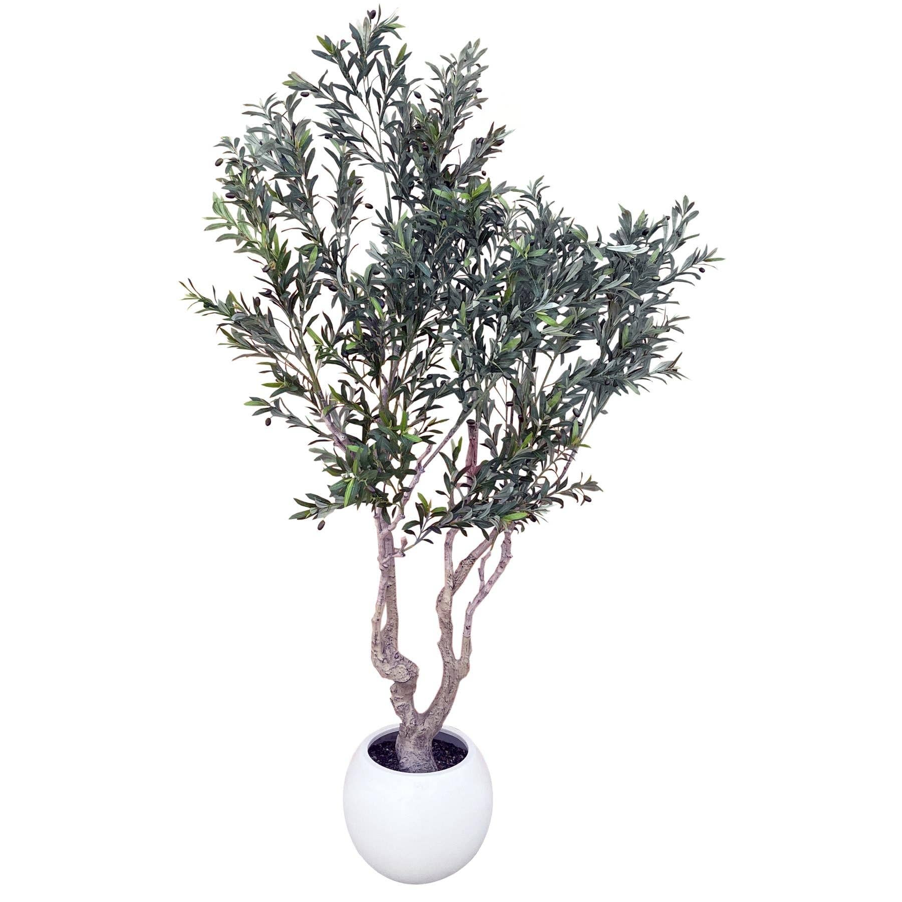 Leaf Design UK LTD - Wholesale Artificial plant - 250cm XXL Olive Tree0