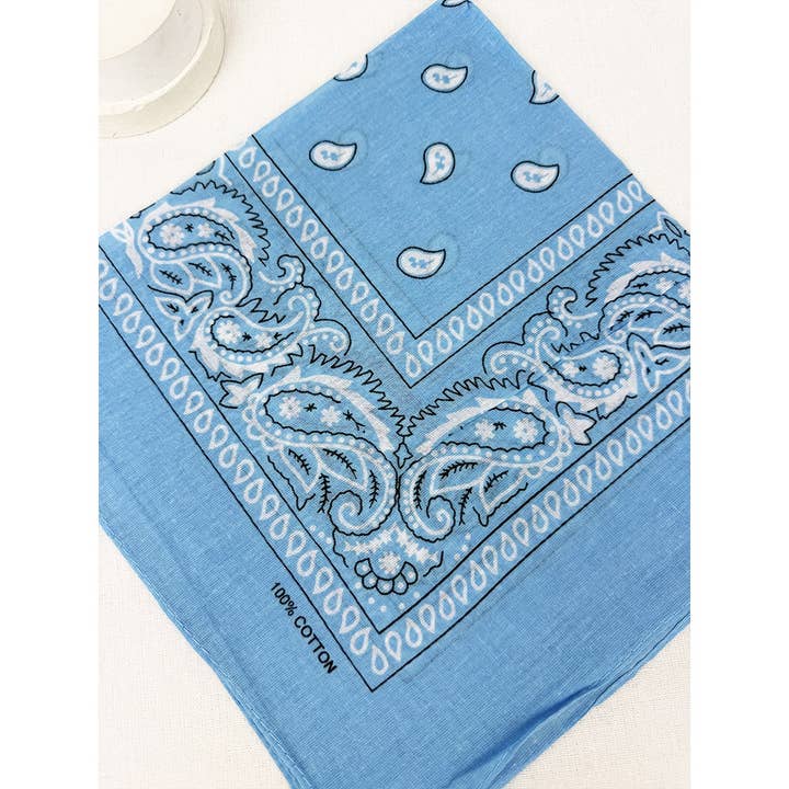 SKY BLUE Pasley Pattern Bandanas for wholesale on Faire4