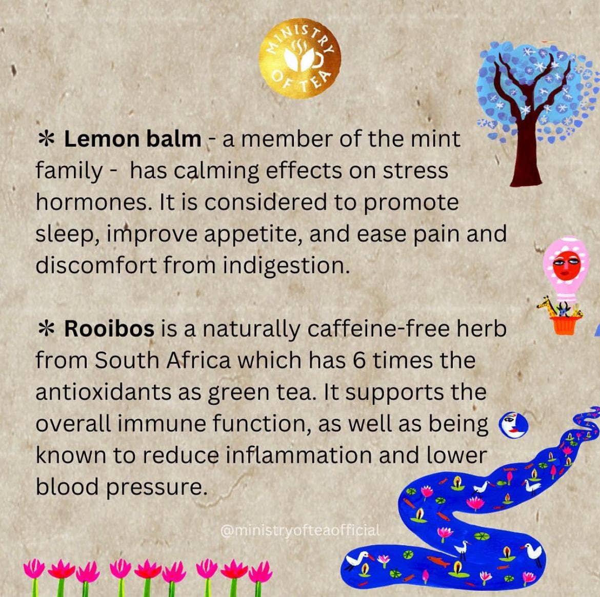 Stella Foods s.r.l. - Wholesale Health/Detox Tea - The Big Sleep Organic MINISTRY OF TEA infusion 30g 20 filters4