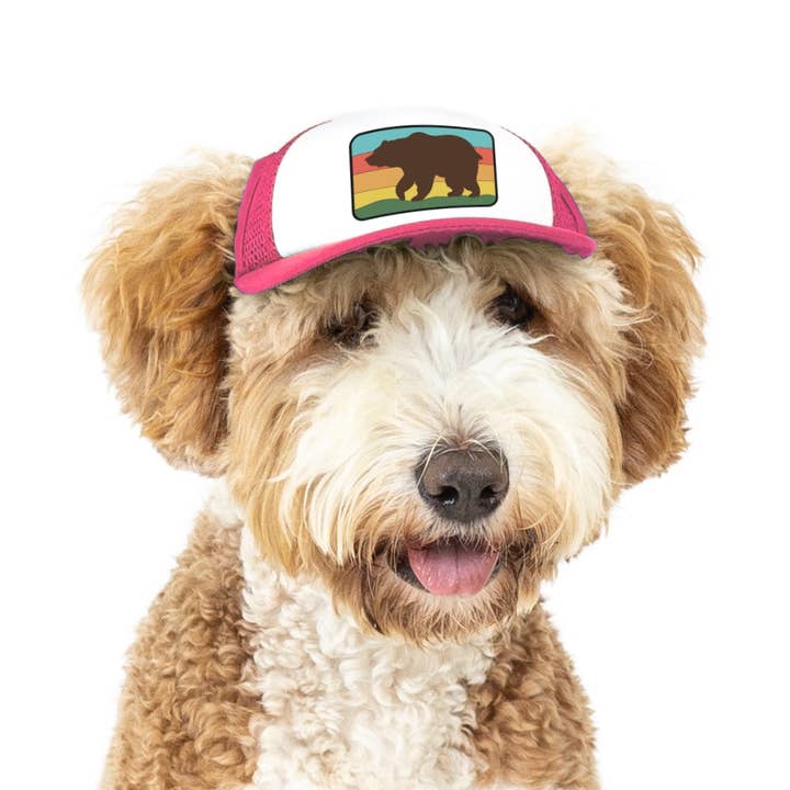 PupLid - Wholesale Hoed voor honden - Hond - Bear Standard of Namedrop | Truckerpet voor honden9