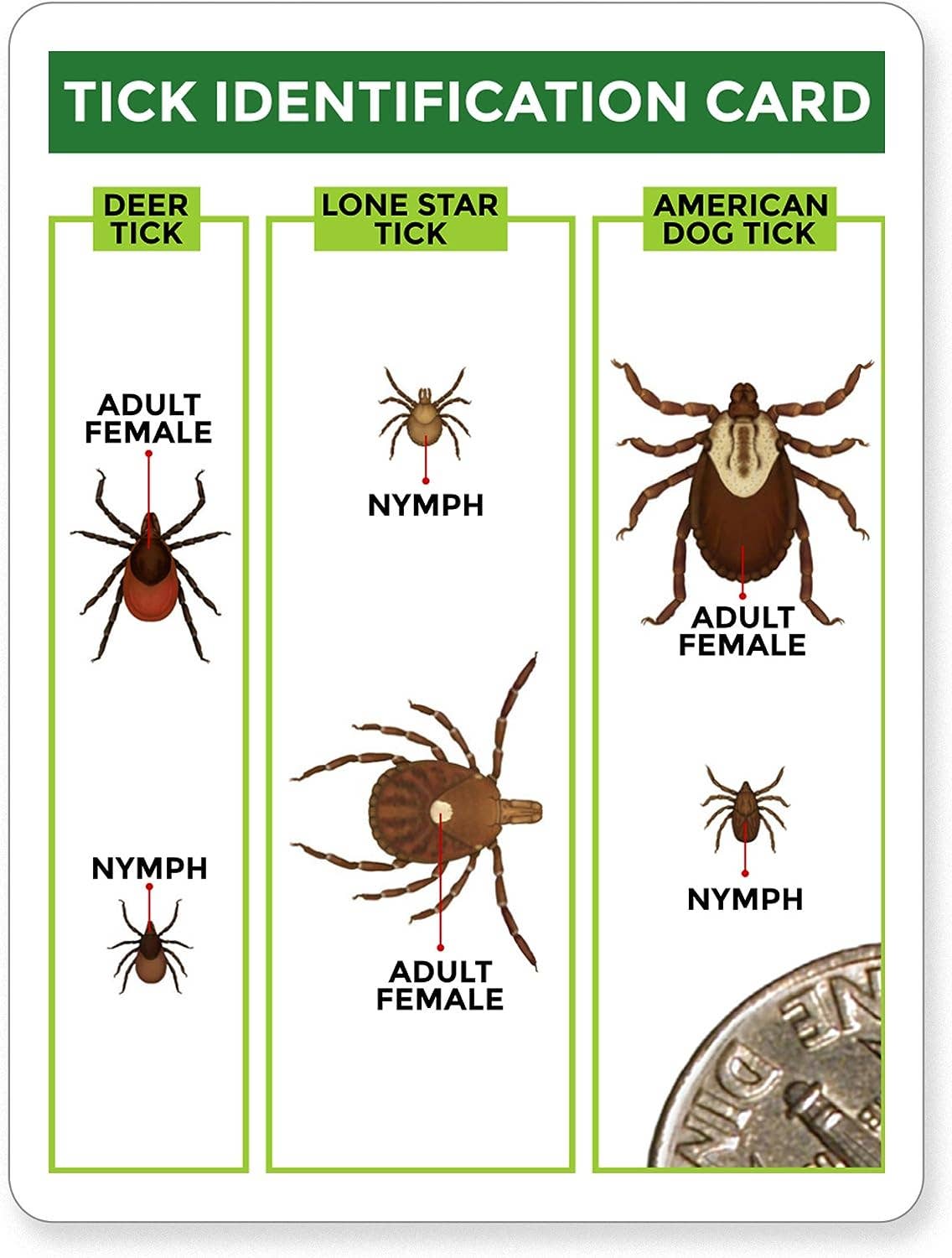 TickCheck - Wholesale Insect Repellent - TickCheck Tick Remover Value 3 Pack6