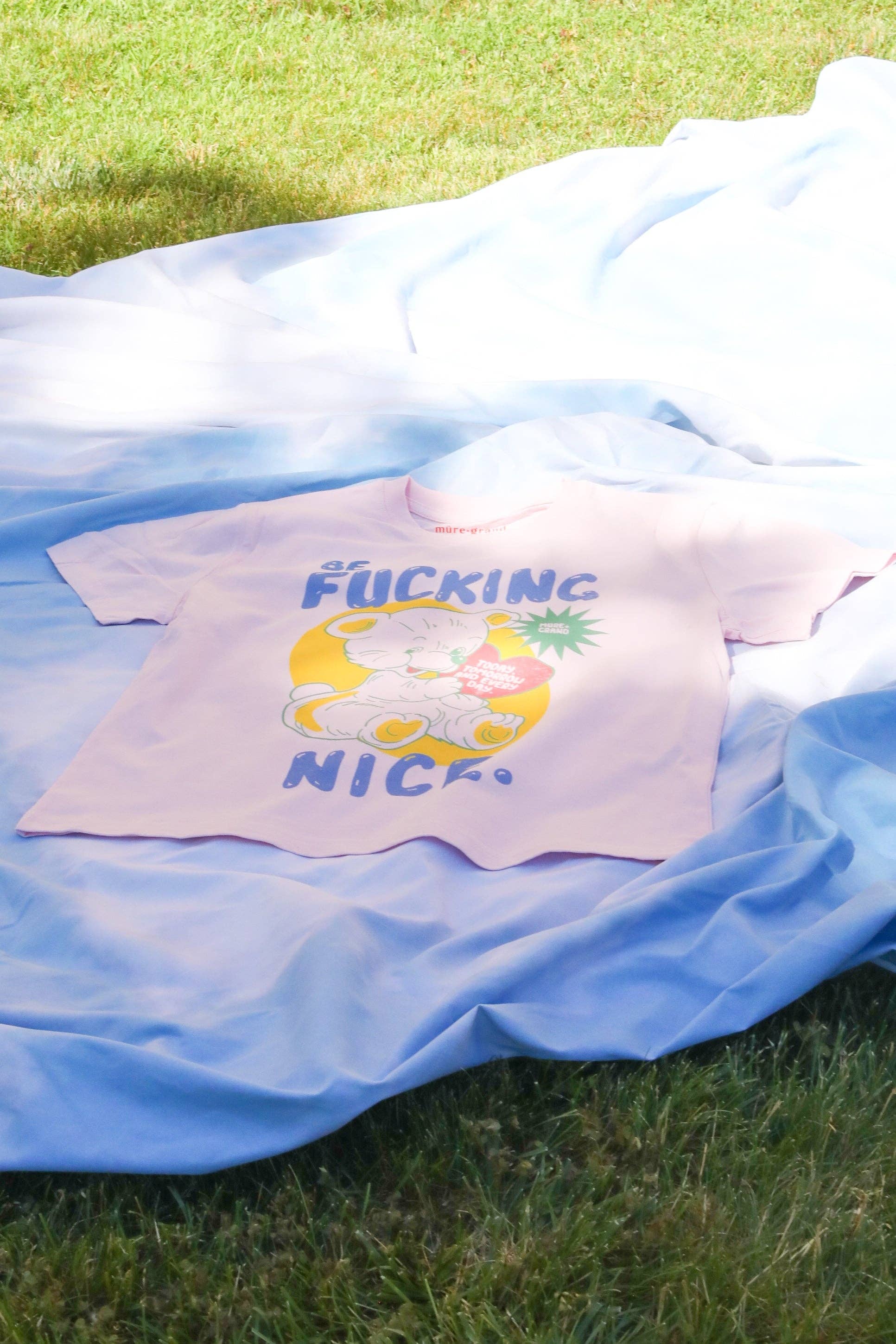 Pink Be F*ing Nice Graphic T-Shirt for wholesale on Faire4