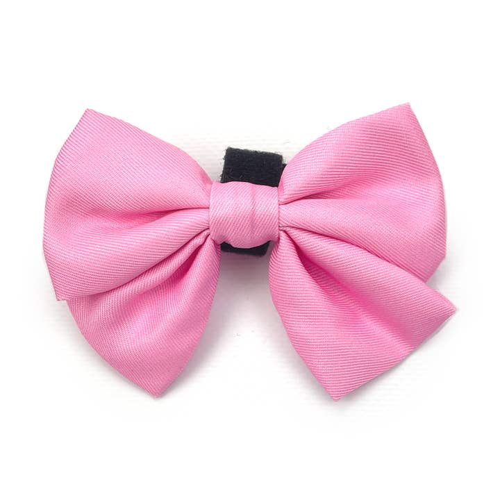 Fliege für Hunde Seemann//Posy Lila für den Großhandel von Holly and Co Australia Pty Ltd