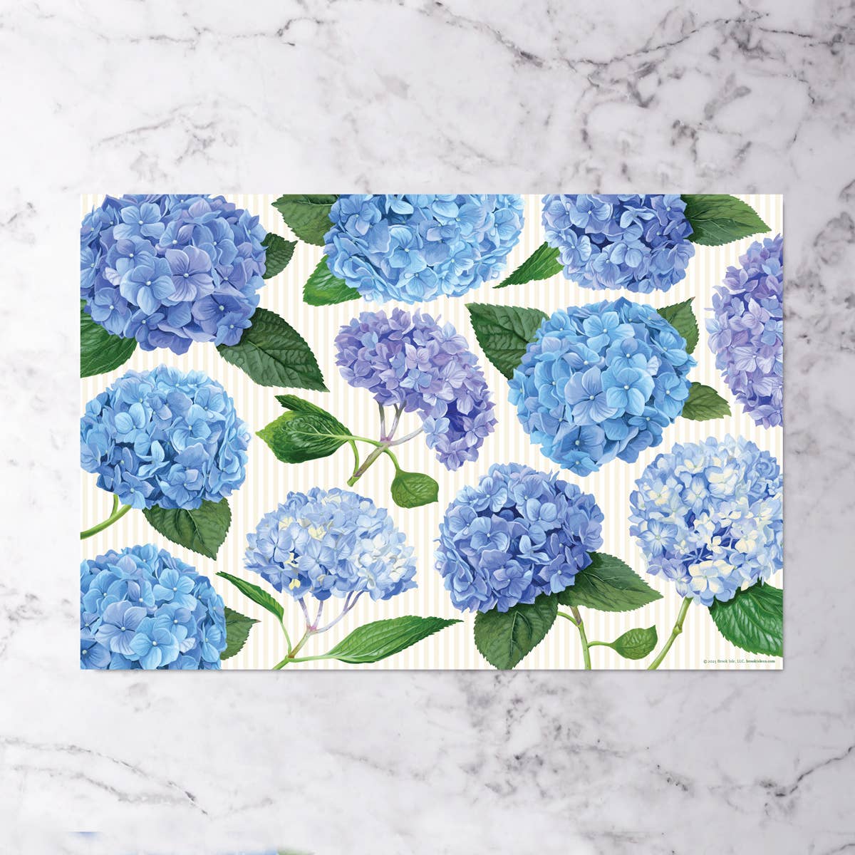 Brook Isle - Vente Sets de table jetables - Set de table en papier Hortensia (lot de 20)1