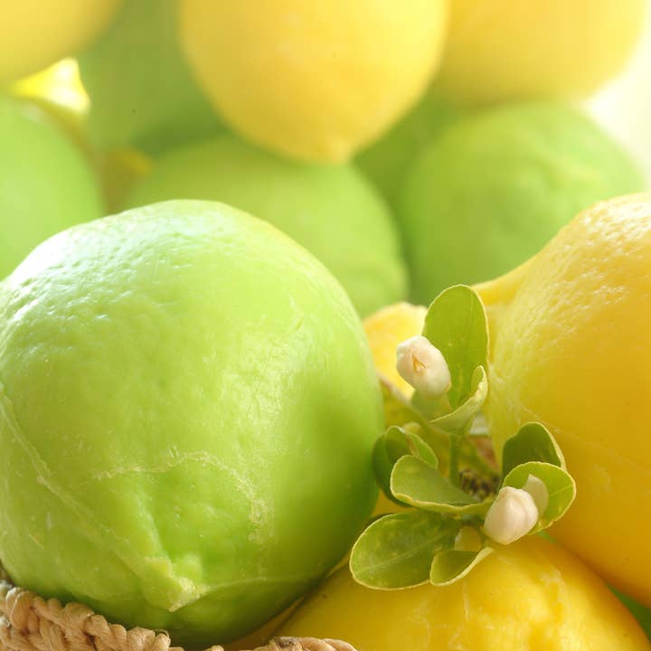 La Belle France - Wholesale Bar Soap - Lemon-Shaped Soap (120g) - Made in France