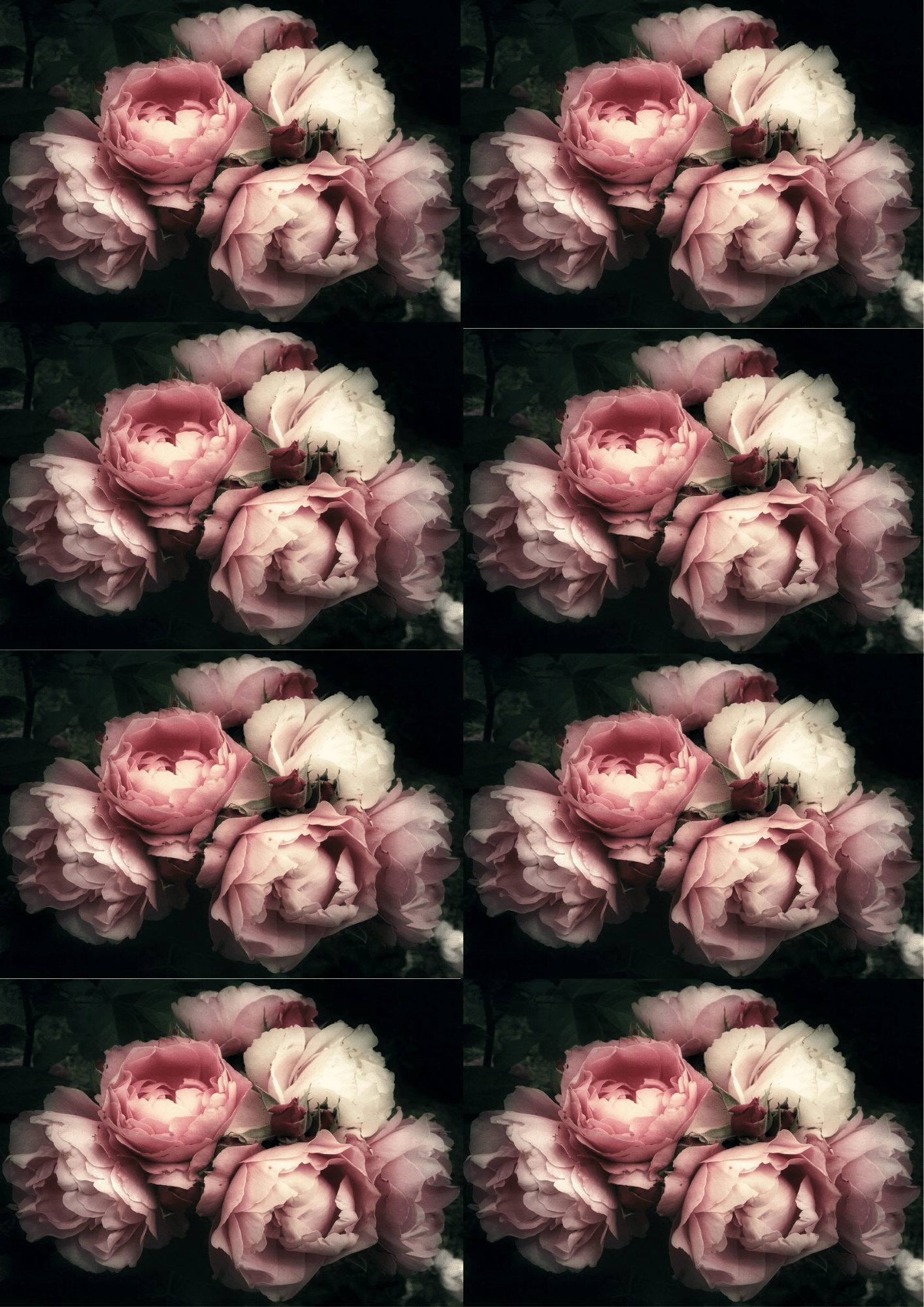 Mint by Michelle - Wholesale Craft Supplies - Workshop Pack - Moody Florals - Mint Decoupage Paper1