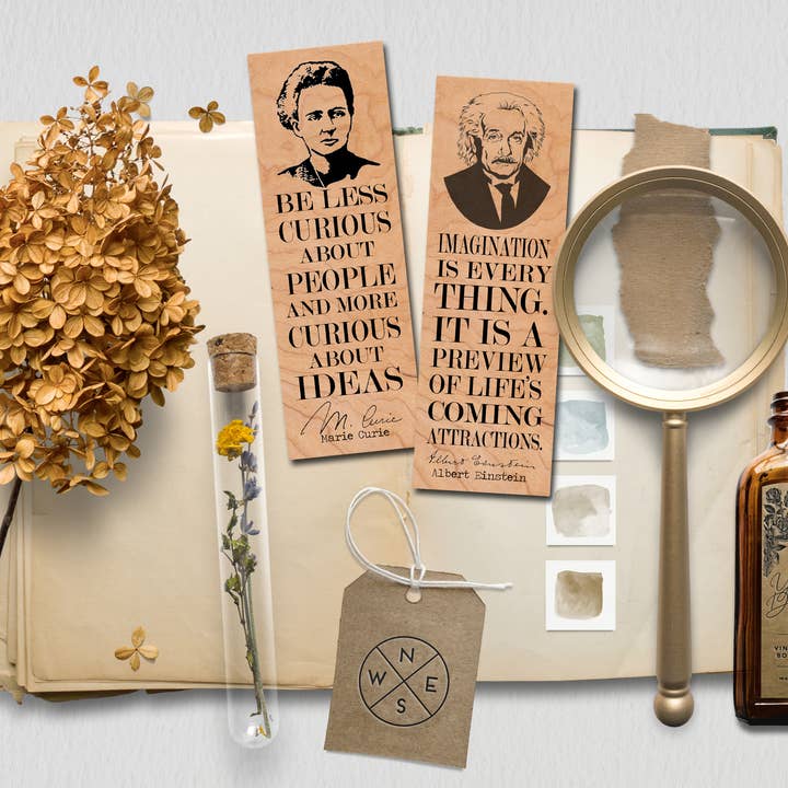 Fly Paper Products - Vendita all'ingrosso Segnalibro - Segnalibro Albert Einstein «L'immaginazione è tutto»