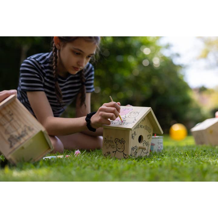 Robert Frederick Ltd - Venta al por mayor Kit de manualidades - Niños - Peppa Pig Pinta tu propia casita para pájaros9