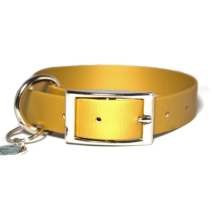 Collier imperméable pour chien doré pour la vente par LUCK OF TUCK