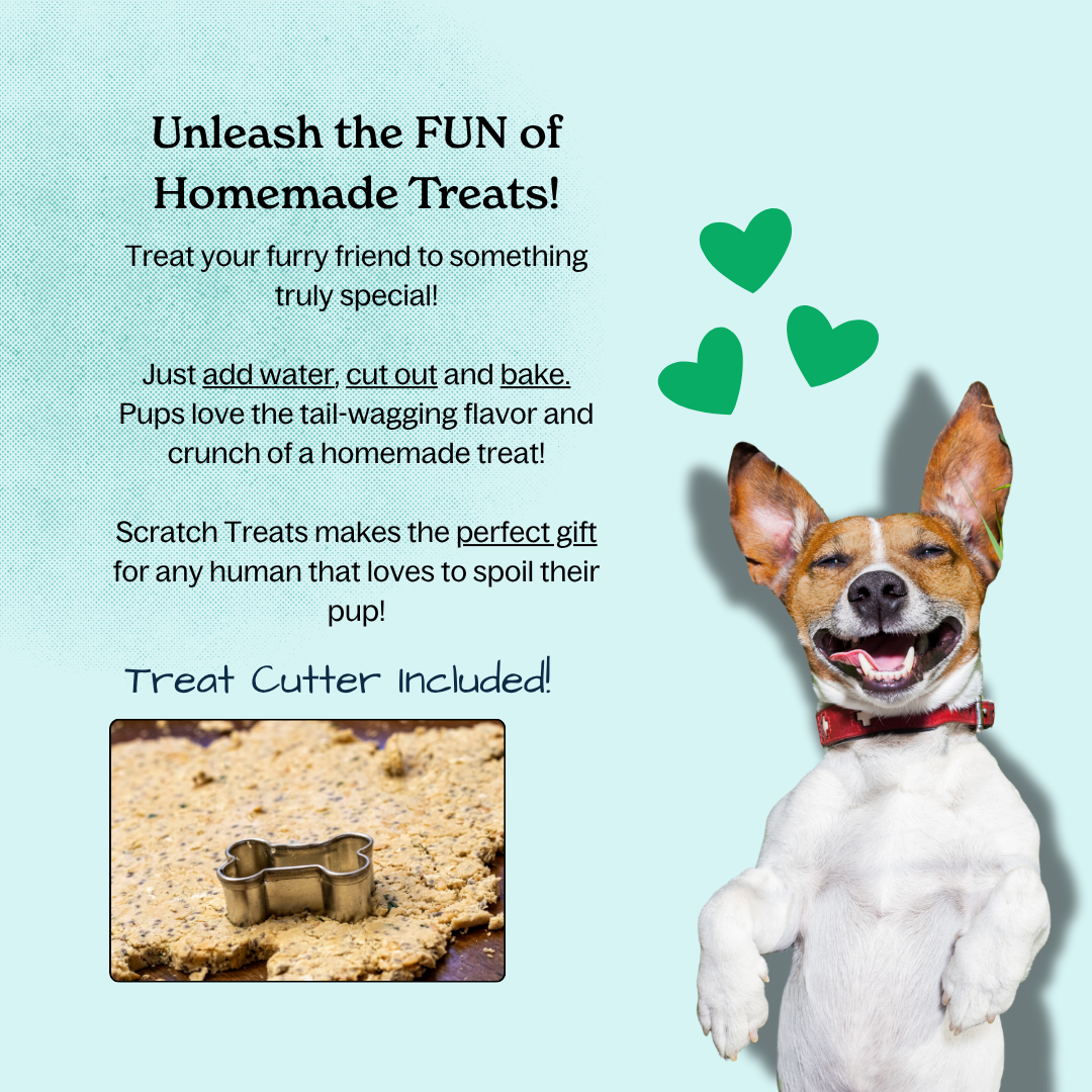 Scratch Treats - Wholesale Pet Treats - Dog - Bake-At-Home Dog Treat Kit - Purple Pup - Makes 80 Treats1
