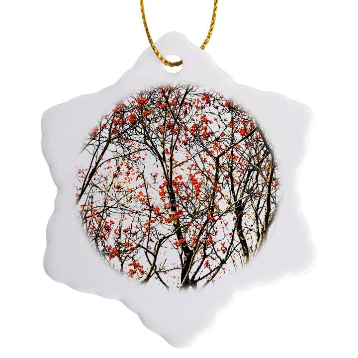 3dRose - Wholesale Ornament - 3dRose, Rowan tree, red berries, white background, Ornament