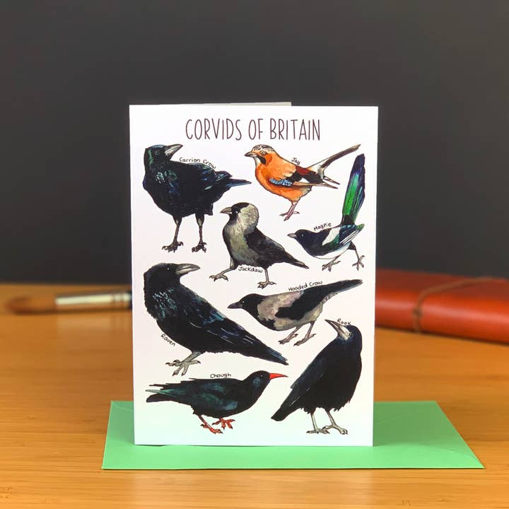 Corvids of Britain Art Blank Greeting Card for wholesale by Alexia Claire Ltd