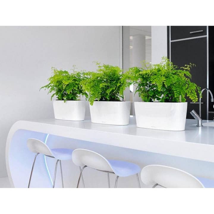 Lechuza Self Watering Planters - Vendita all'ingrosso Vasi per piante - LECHUZA DELTA Fioriera da tavolo/davanzale in poliresina11