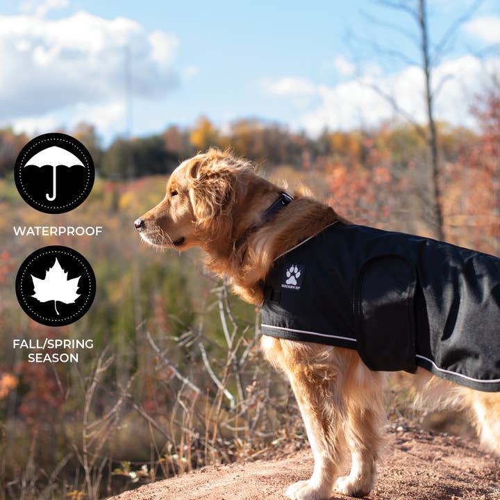 Shedrow K9 - Wholesale Pet Raincoat - Dog - Shedrow K9 Harbour 2.0 Rain Coat - Black