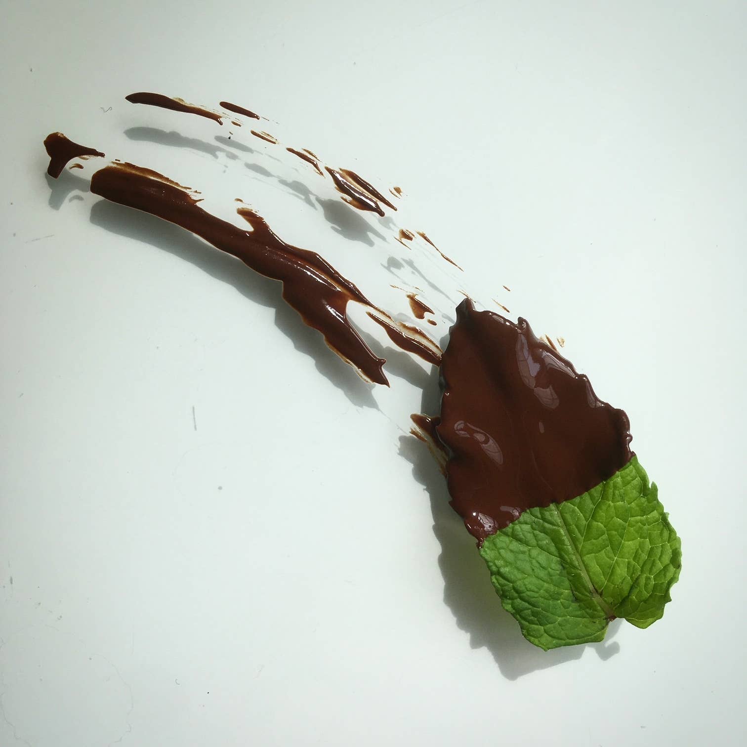 Potting Shed Creations, Ltd. - Wholesale Plant Seeds - Essential Mint Garden | Spring & Valentine Tea Gift Idea 2