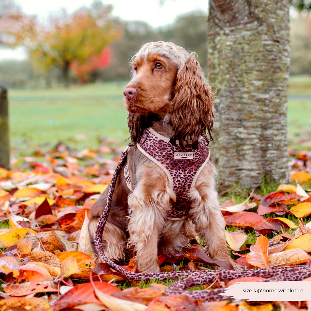 Cocopup London - Wholesale Pet Harness - Dog - Quilted Leopard Pup Adjustable Neck Harness16