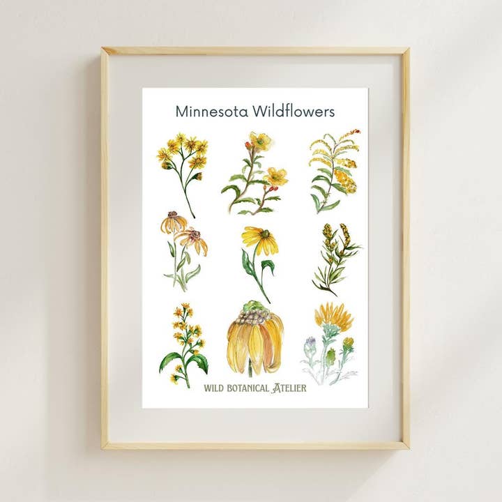 Minnesota Wildflowers Artwork Collection #4 for wholesale by Wild Botanical Atelier