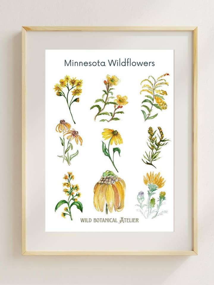 Minnesota Wildflowers Artwork Collection #4 for wholesale by Wild Botanical Atelier