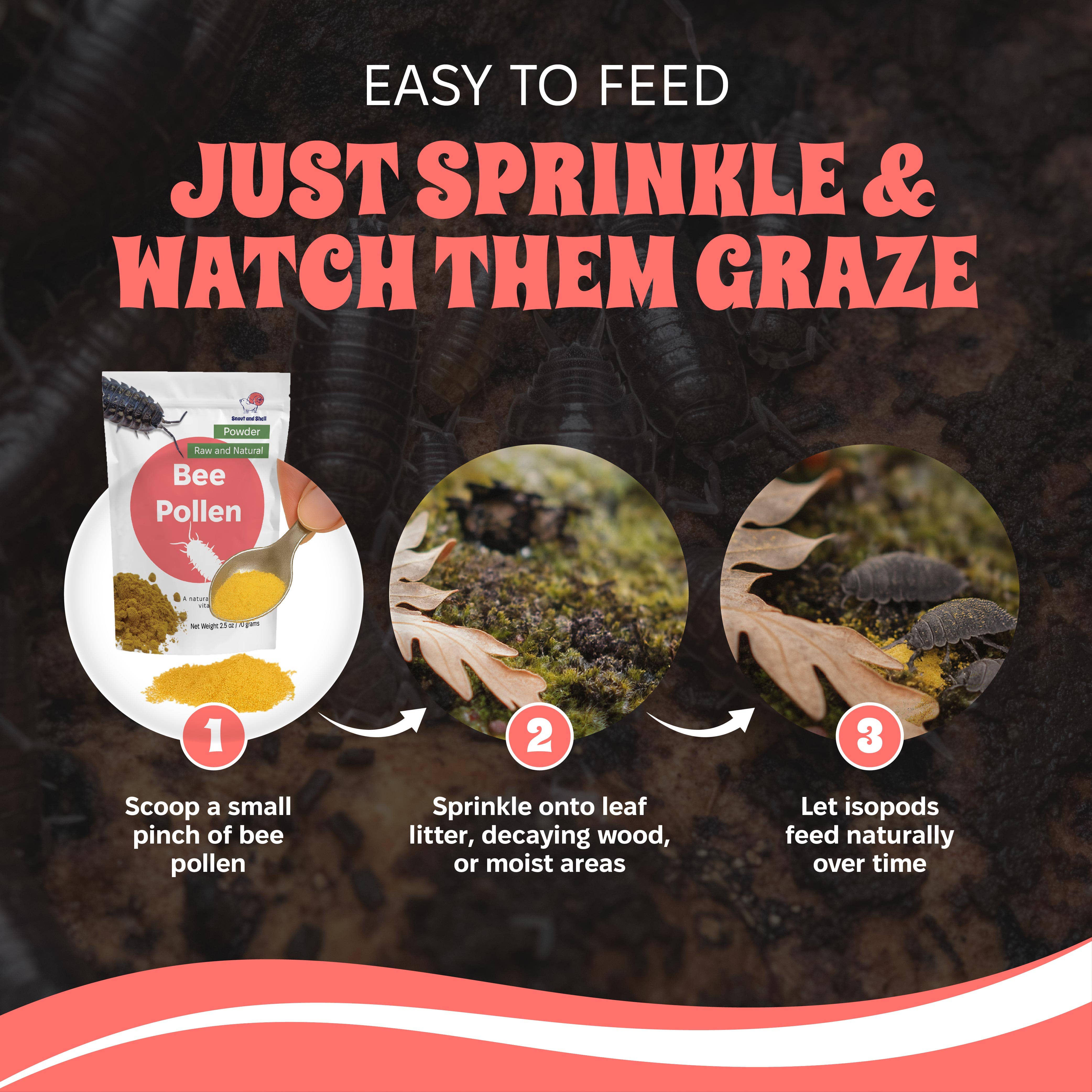 Snout and Shell - Wholesale Pet Supplement - Not Cat/Dog - Bee Pollen Powder for Isopods3