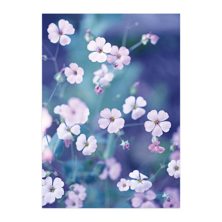 Carte postale "Fleur de vache" pour la vente par paruspaper. nutzfeine papeterie