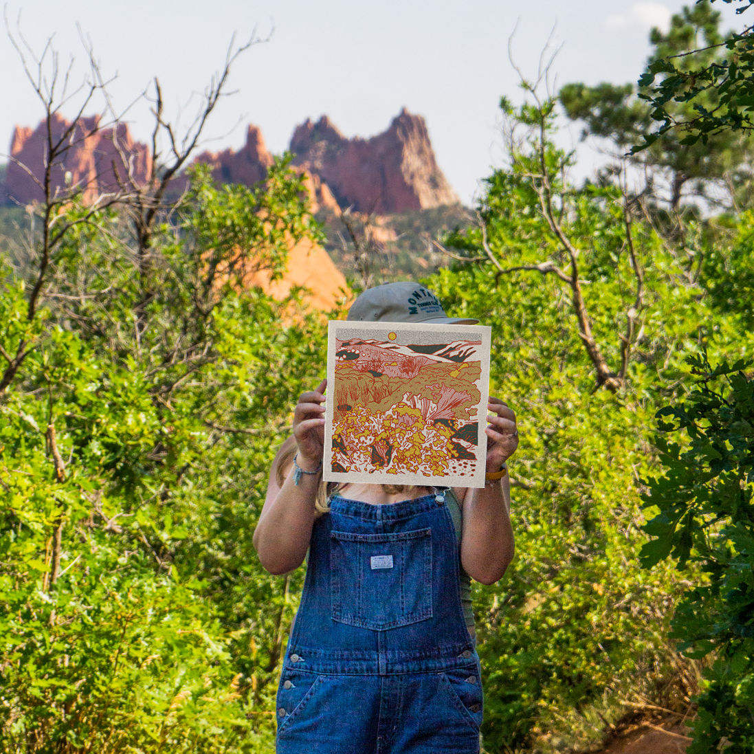 Caroline Clark - Wholesale Art Print - Desert Mountain #20