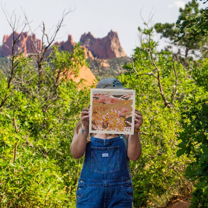 Caroline Clark - Wholesale Art Print - Desert Mountain #2