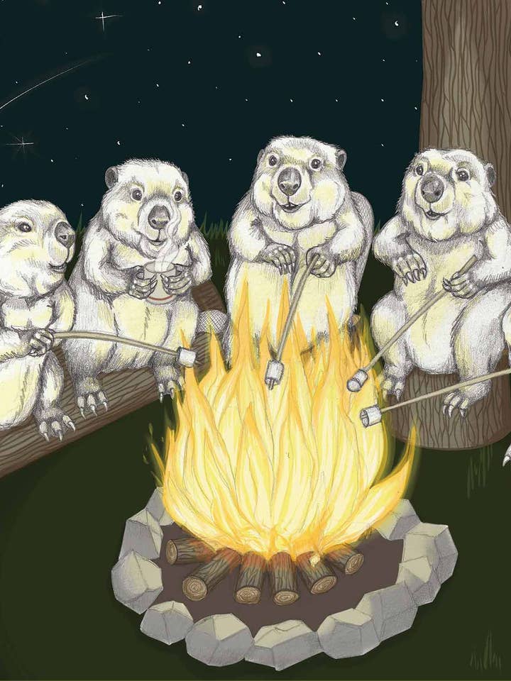 Campfire for wholesale by I AM NIEN