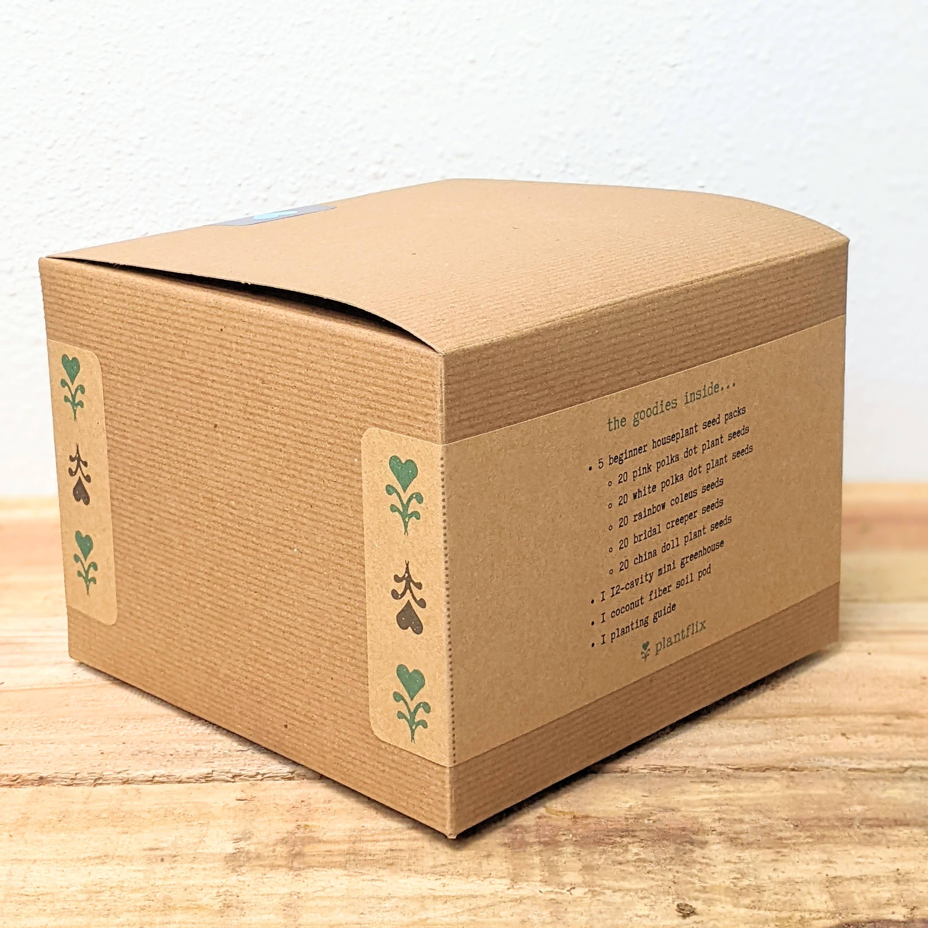 Plantflix - Vente Graines de plantes - Kit de graines pour plantes d'intérieur « Grow an Indoor Jungle »11