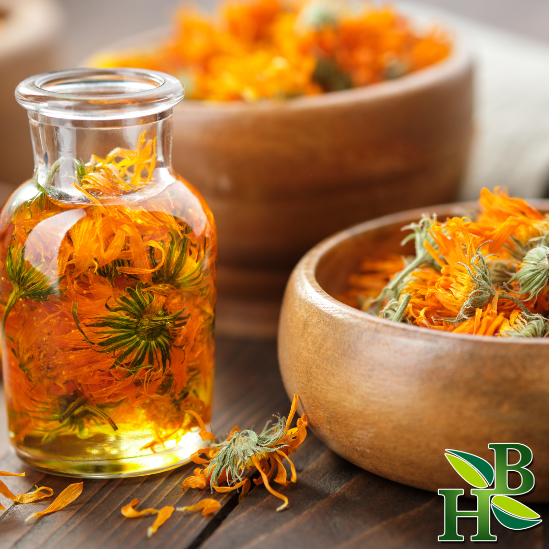 Herb To Body - Vendita all'ingrosso Erbe aromatiche - Fiori di calendula interi1