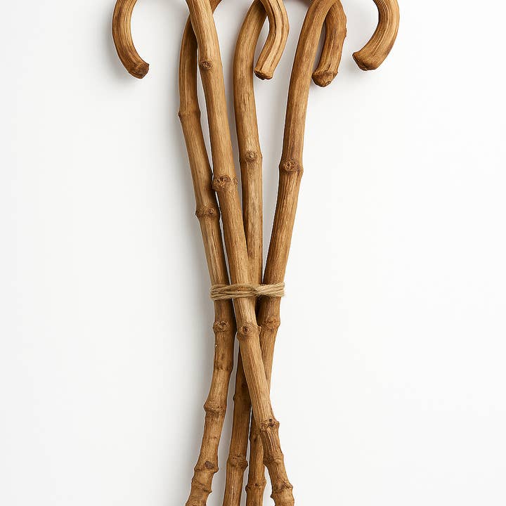 Natural Banana Sticks – 5pc Bunch for wholesale by GS Foliage