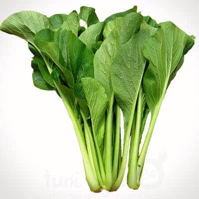 The Rike - Wholesale Plant Seeds - Choy Sum Seeds Brassica Integrifolia 6 pack x 3000 Seeds 6