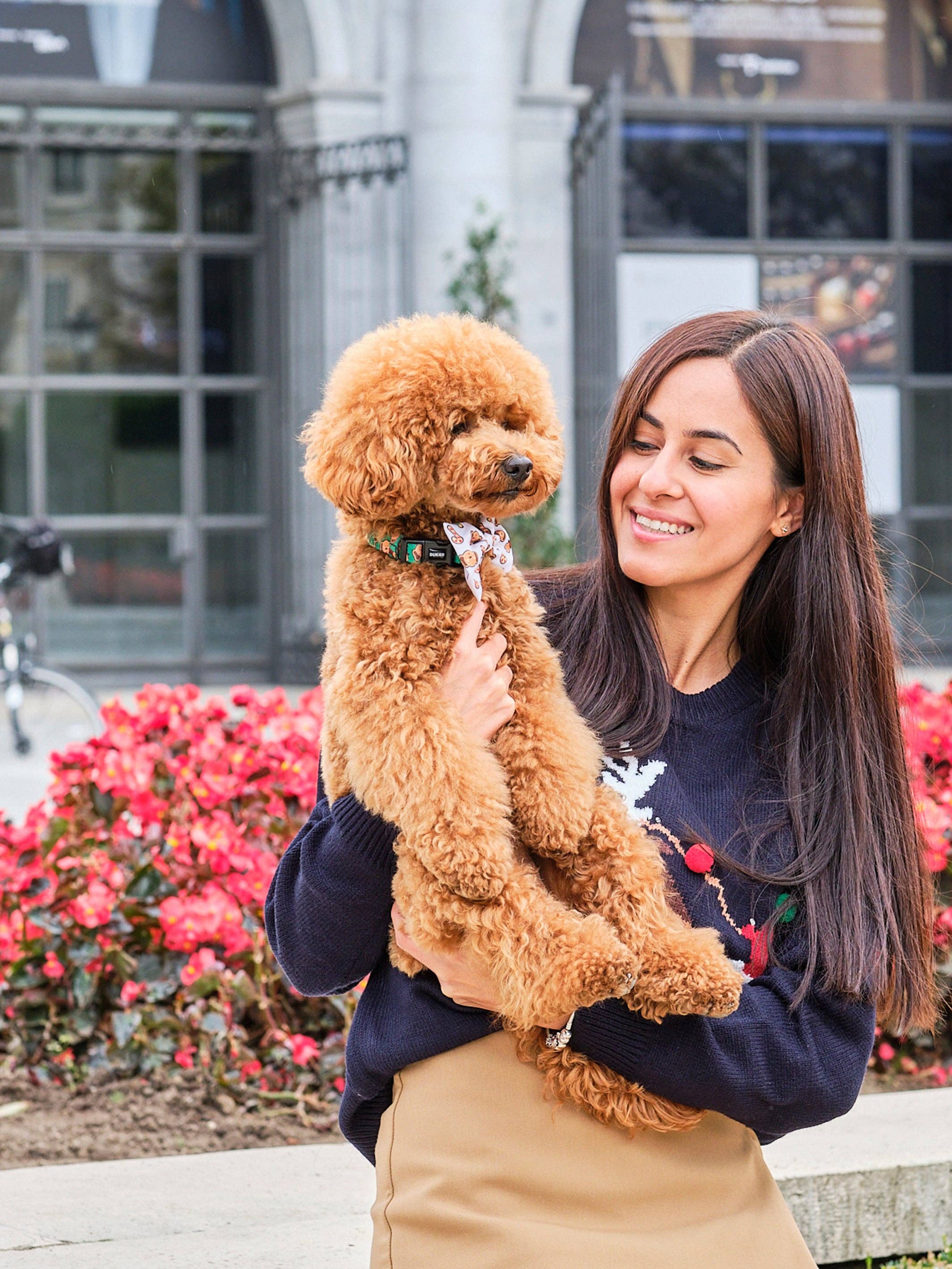 Dukier - Wholesale Pet Collar - Dog - GINGER BREAD DOG COLLAR3