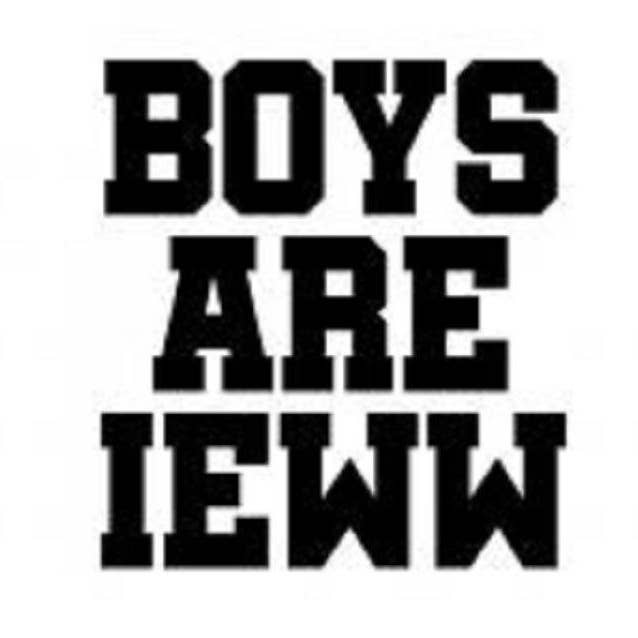 Strijkapplicatie Boys är dvs.ww för wholesale av strijklogo's enzo