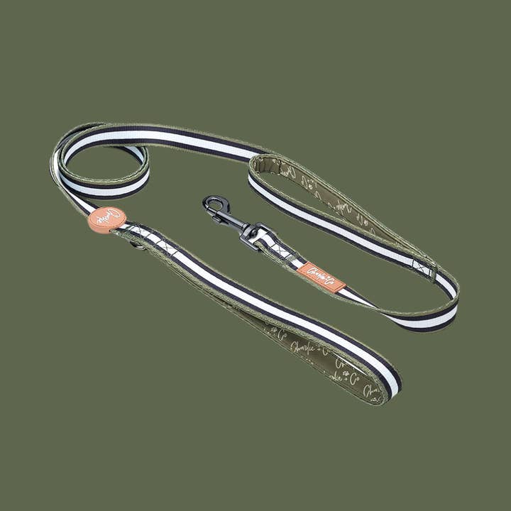Dual Handled Dog Lead - Barky Khaki for wholesale by Charlie & Co
